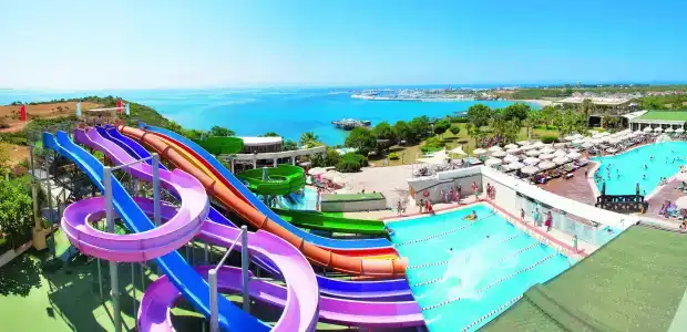 Laurs Experience & Elegance - 12