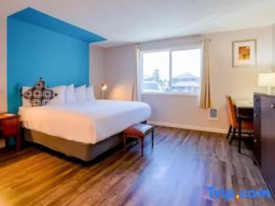 Coast River Inn By Oyo - 105