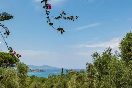 Ionian Aura - 34