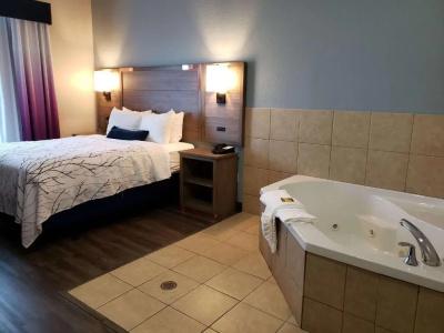 Best Western Plus San Antonio East Inn & Suites - 29