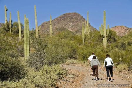 Hampton Inn & Suites Phoenix/Scottsdale - 29