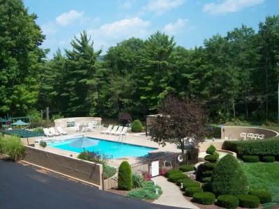 Tall Pines - 7