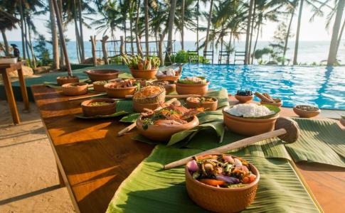 Turtle Bay - 5