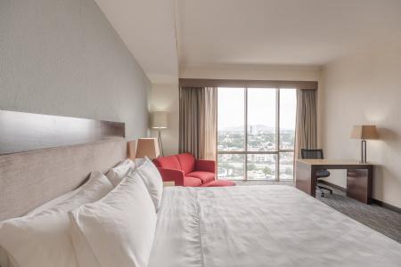 Holiday Inn Guadalajara Select, An Ihg - 37