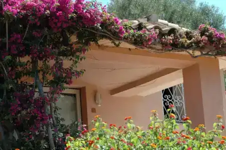 Residence Fenicia - 64