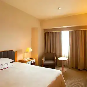 New Otani Takaoka - 5