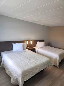 Royal Inn - 54