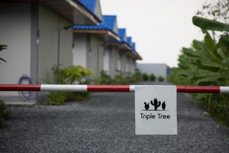 The Triple Tree Resort. - 16