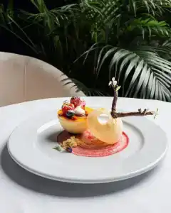 Royal Saray - 30