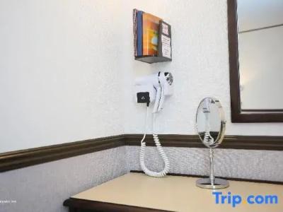 Toyoko Inn Marseille Saint Charles - 69