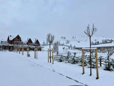 Wooden Valley Zlatibor Resort - 10