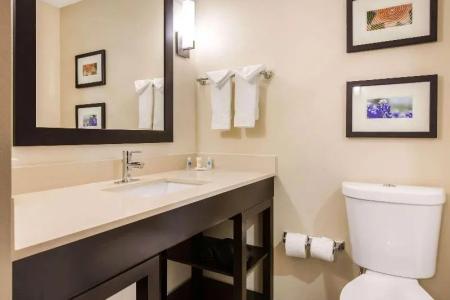 Comfort Suites - South Austin - 33