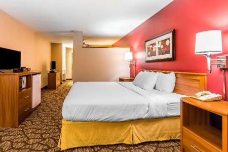 Quality Inn & Suites Chesterfield Village - 30