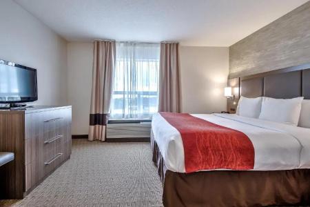 Comfort Inn & Suites South - 36
