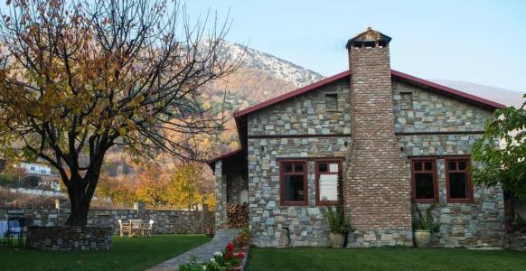 Evzin - 8