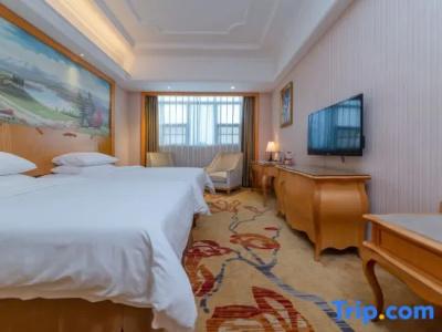 Vienna International(Shenzhen Longgang Tianan Cyber Park) - 28