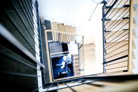 Eco Boutique Ams Beagle - 55