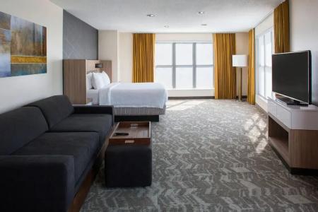 SpringHill Suites by Marriott Convention Center - 54