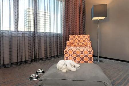 Sheraton Essen - 76