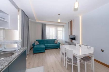 Theluna Suite - 24