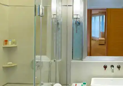 Four Points by Sheraton Shenzhen - 8