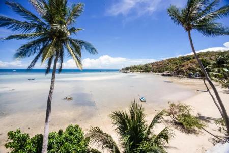 Carabao Dive Resort - 29