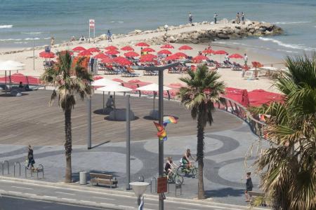 Olive Tlv 88 Sea - 28