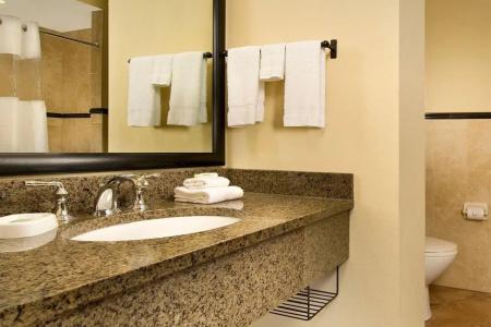 Drury Plaza San Antonio North Stone Oak - 29