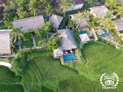 Wapa di Ume Ubud - 29