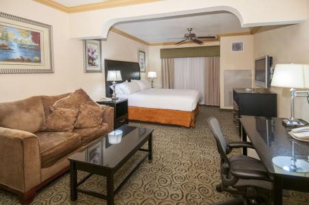 Holiday Inn Express & Suites Central - 48
