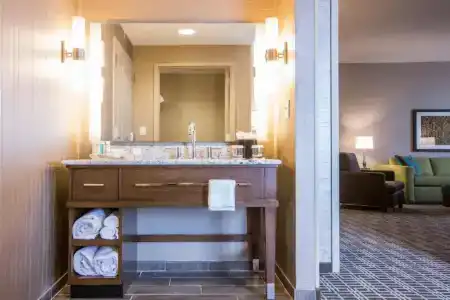 Hampton Inn Houston Downtown - 36
