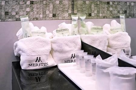 Meritin - 60
