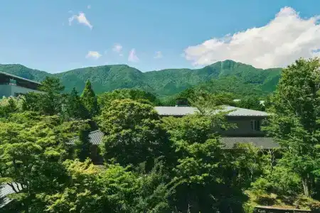 Hakone Hisui - 41
