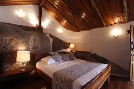 Chauve Souris Relais - 20