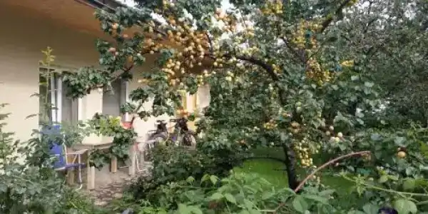 Evergreen (Каракол) - 2