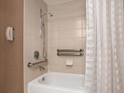 Embassy Suites by Hilton Dallas Near the Galleria - 8