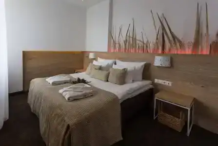 Spa Vilnius Druskininkai - 16