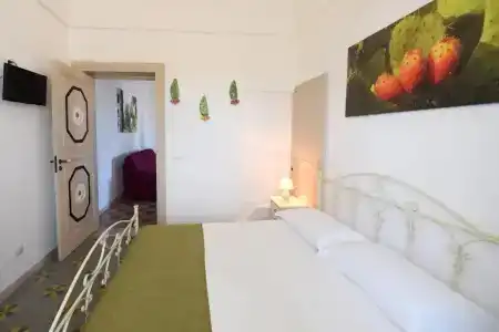 B&B Masseria Peppeturro - 76