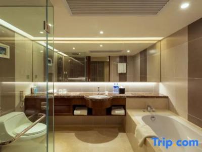 Grand Skylight Catic - 93