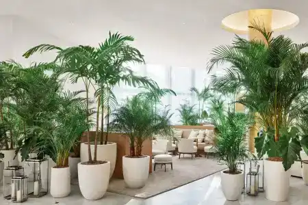 The Miami Beach EDITION - 9
