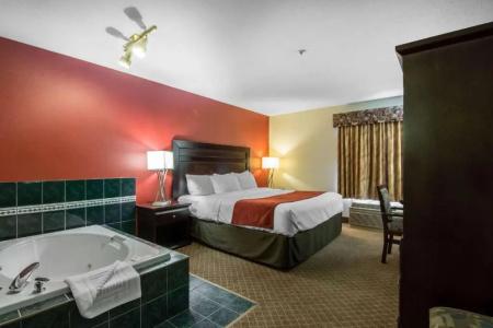 Comfort Inn & Suites Airport South - 25