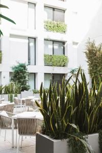 The Godfrey Hollywood - 49