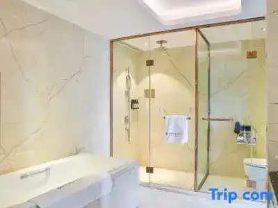 Wyndham Grand Plaza Royale Chongqing - 18