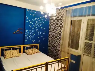 Zebra Hostel and Tours - 32