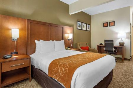 Comfort Suites Walnut Creek - 56