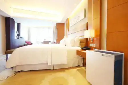 The Westin Nanjing Xuanwu Lake - 31