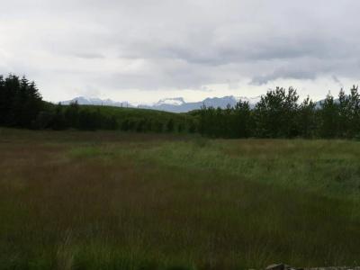 Dilksnes - 22