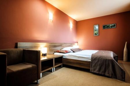 Comfort with free Wellness and Fitness Centrum - 2