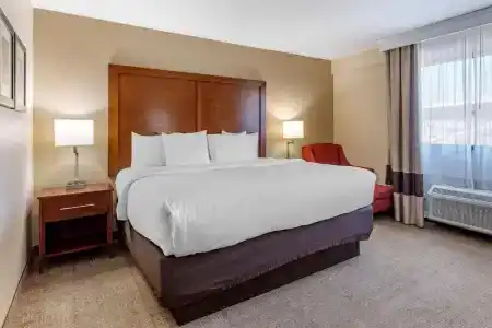 Comfort Inn Nashville West - 33