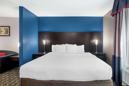 Comfort Suites Airport Nashville - 53